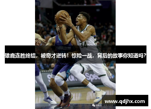 雄鹿连胜终结，被奇才逆转！惊险一战，背后的故事你知道吗？