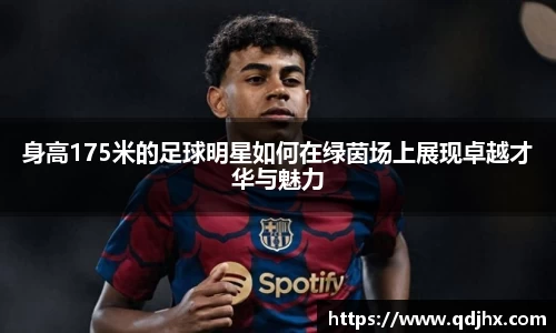 球盟会官网入口球盟会官方网站