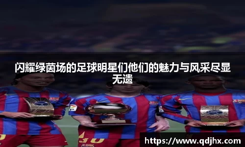 闪耀绿茵场的足球明星们他们的魅力与风采尽显无遗